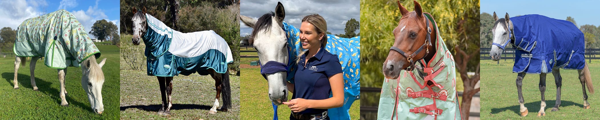 Horses wearing WeatherBeeta Horse Rugs