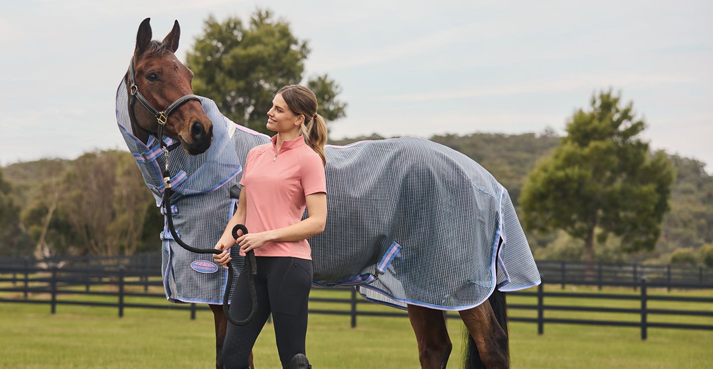 Horse wearing WeatherBeeta mesh horse rug