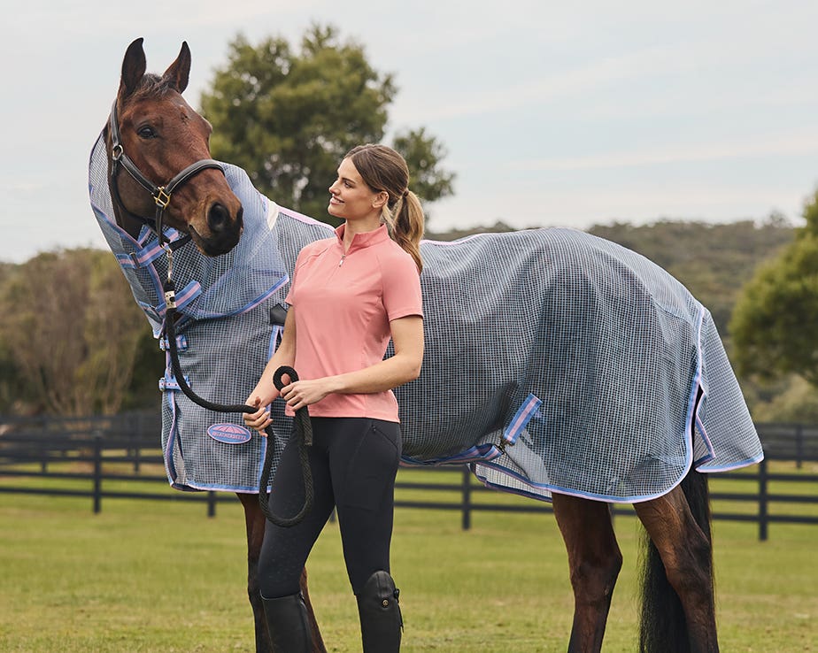 Horse wearing WeatherBeeta mesh horse rug