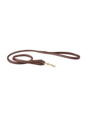 Rolled Leather Dog Lead