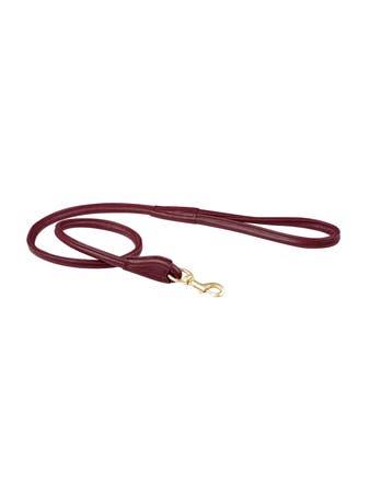 Rolled Leather Dog Lead