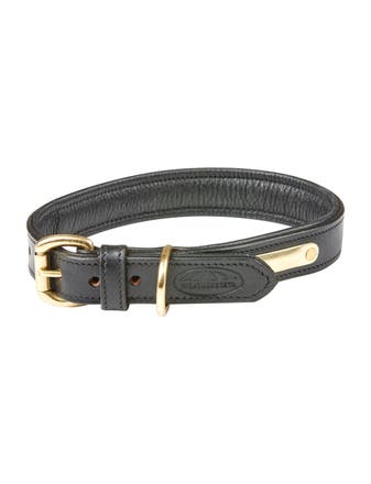 Padded Leather Dog Collar
