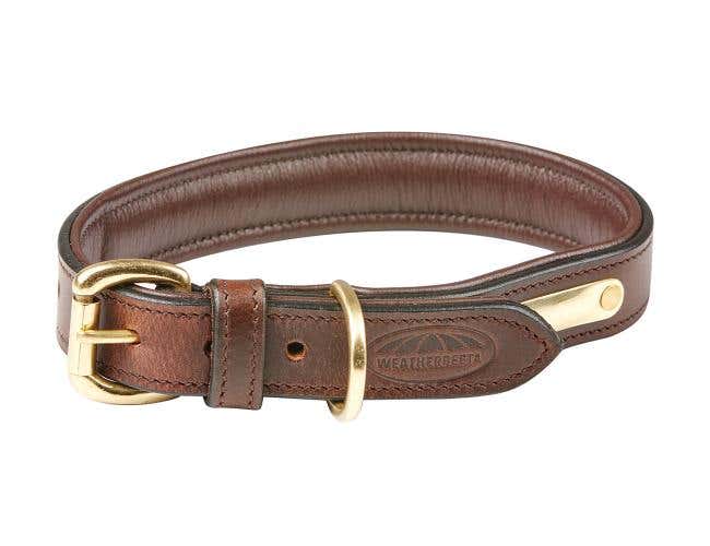 Padded Leather Dog Collar