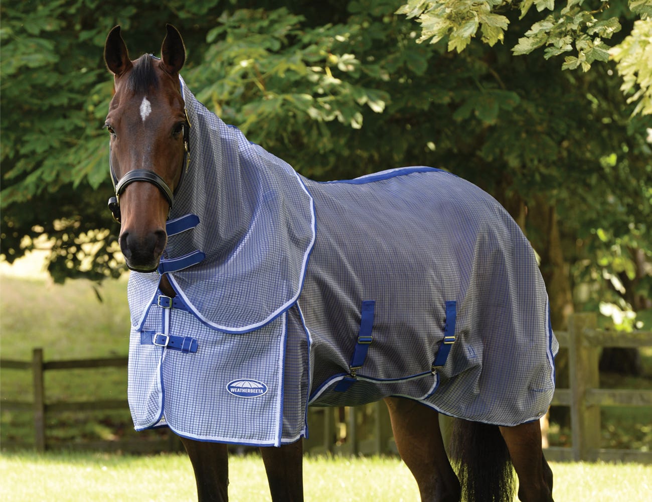 Bay horse in a paddock wearing ComFiTec Ripshield Plus Mesh Rug