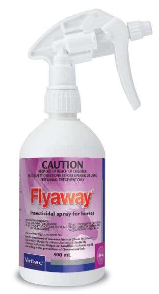 Flyaway