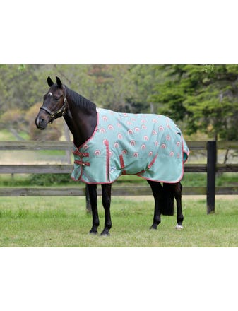 ComFiTec Plus Dynamic II Standard Neck Lite