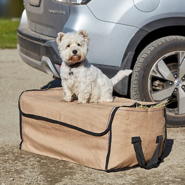 Dog sitting on Roma Hessian Hay Bale Bag