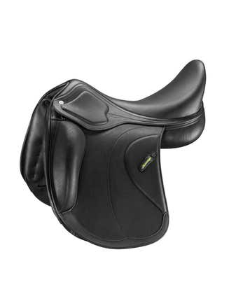 Dressage Cervia Siena Pinerolo Mono