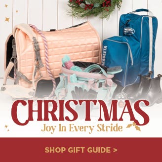 Christmas Gift Guide