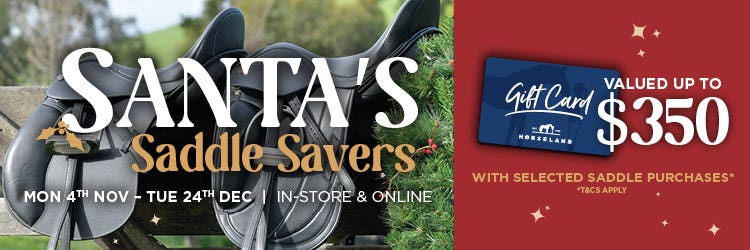 Santa's Saddle Savers