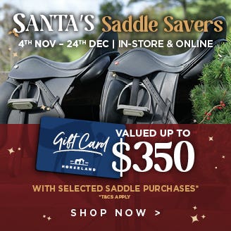 Santa's Saddle Savers