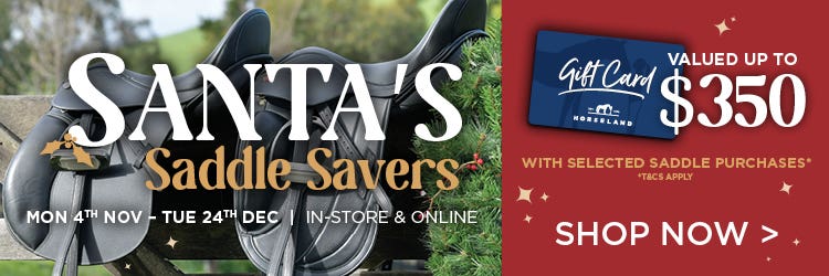 Santa's Saddle Savers