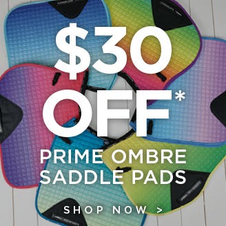 Prime Ombre specials